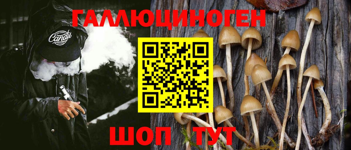 Галлюциногенные грибы Cubensis Советский