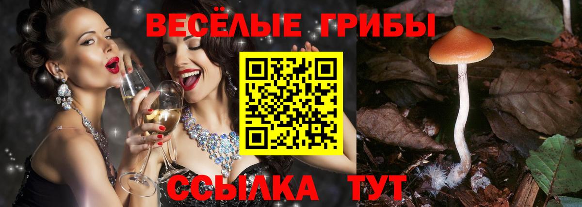 Советский  Галлюциногенные грибы ЛСД  Псилоцибиновые грибы GOLDEN TEACHER  Вход с VPN 